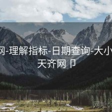 天齐网-理解指标-日期查询-大小比例，天齐网卩