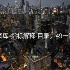 49图库-指标解释-目录，49一图库